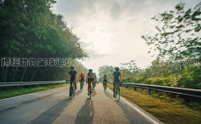 意昂体育3娱乐用176五八27从百度手机助手