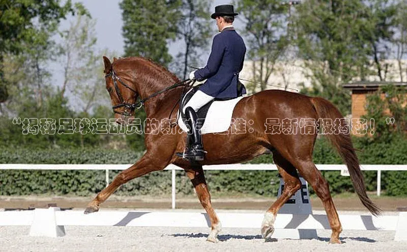 意昂3代理登陆中文在线