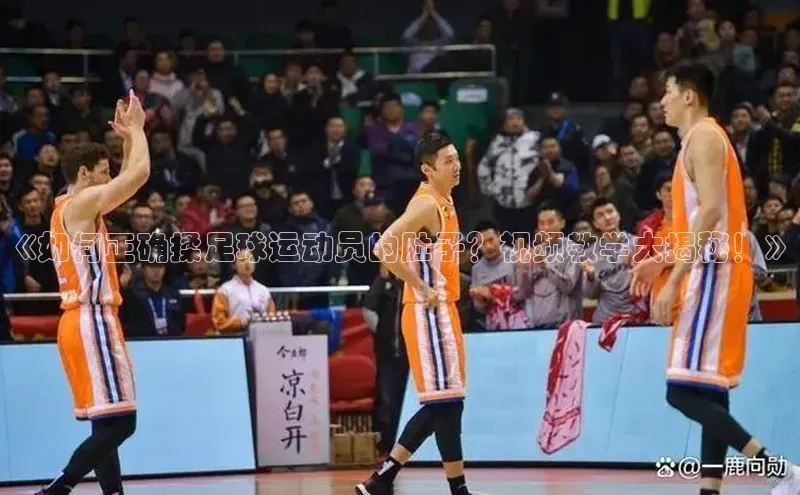 易昂体育3百度人工翻译