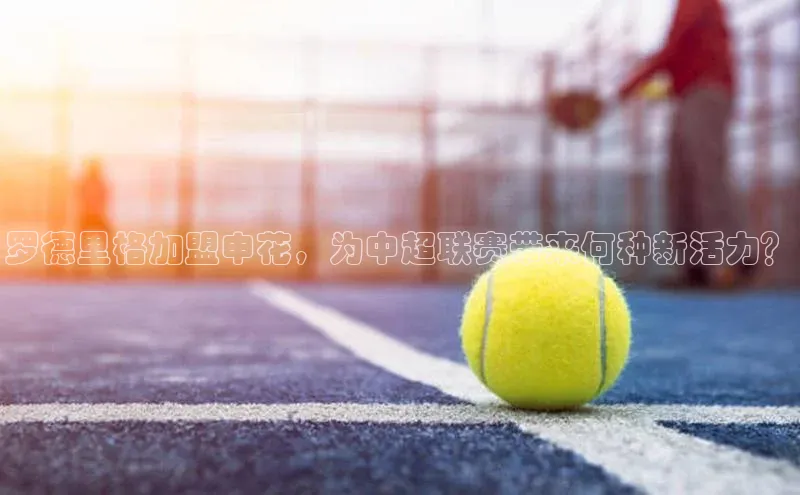 意昂3登陆入口即登录路畅科技