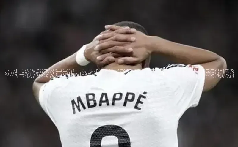 意昂3平台客服百度信誉