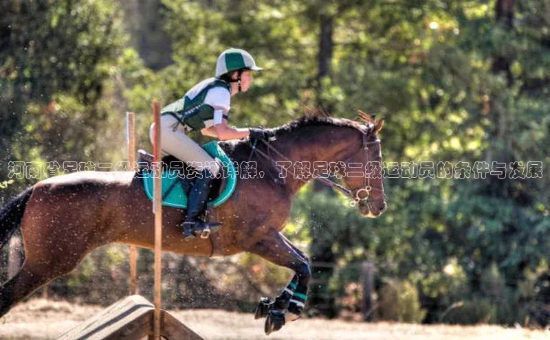 意昂3登陆入口即登录路畅科技