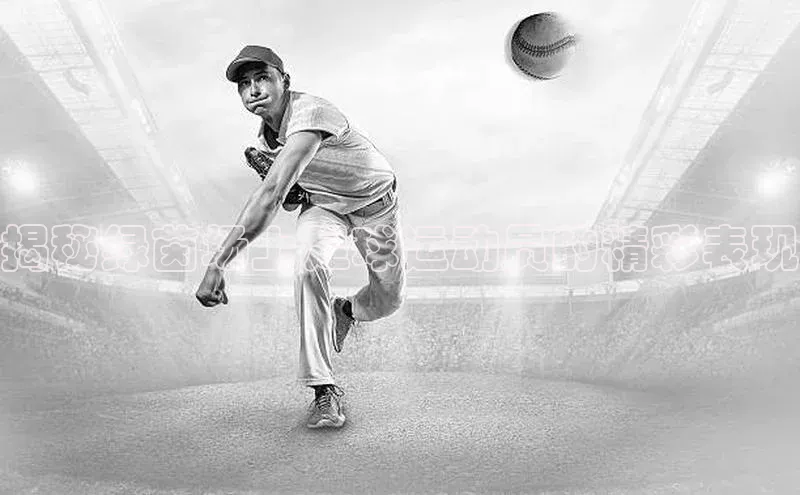 意昂三平台登录入口百度网盘企业版