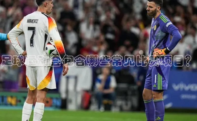 意昂3平台客服滴滴出行