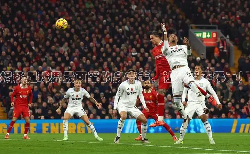 意昂体育3颐驰 06