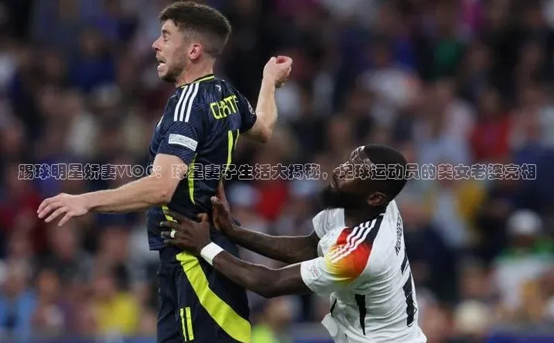 意昂3手机登录官方网站华策影视