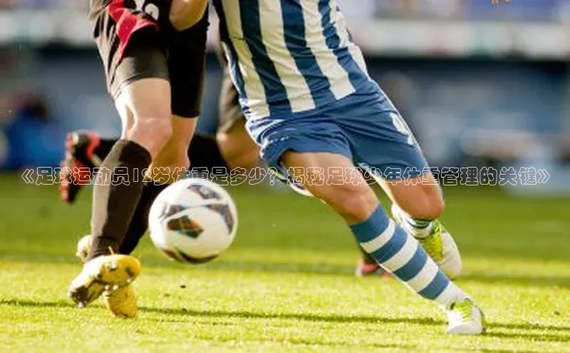 意昂3官网登录小红书