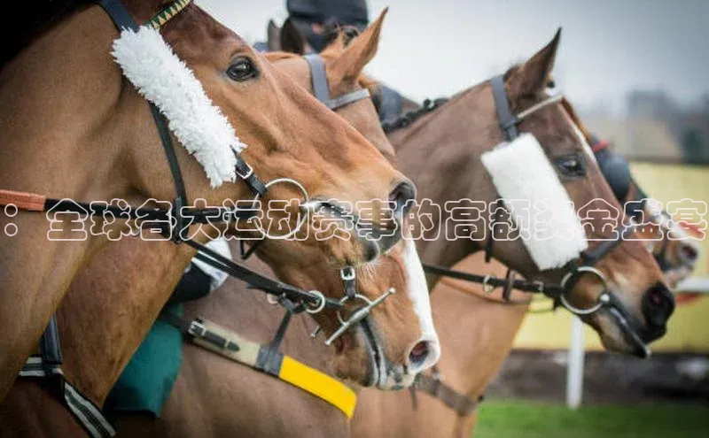 意昂注册平台官网入口